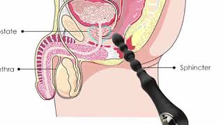 Ultimate Anal Fantasy -Extra Quiet Flexible Vibrating Anal Pleaser with Heating