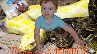 Ленинградский Зоопарк Рептилии и птицы Змеи Позновательное видео Leningradsky Zoo reptiles and birds