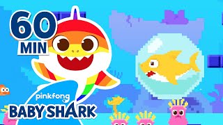 Mix - Baby Shark Remix and More | +Compilation | Doo Doo 1hour | +Compilation 