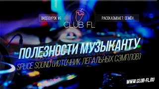 #6 Полезности музыканту:  Splice Sound (Источник легальных сэмплов!)
