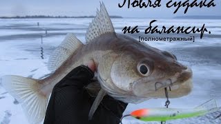 Ловля судака на балансиры. Зимняя рыбалка. Видео отчет от 14.12.2014 г