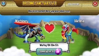 Machinery Dragon vs Viktoria Dragon Breeding Dragon City 2018