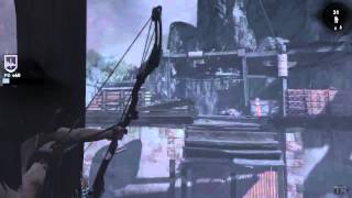 Tomb Raider PC GTX 660 OC Phenom 955