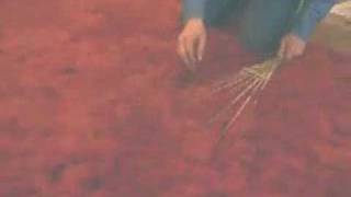 the feltmaker