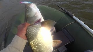 ECLIPSE Drift Pencil 90.Как он неспеша подбирался к крупному жереху.Asp Fishing.