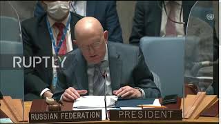 UN: Russian UN representative Nebenzya accuses Ukraine of aggression