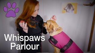 ?Whispaws Parlour? ASMR Dog Spa & Massage | Fur Brushing & Ear Examination