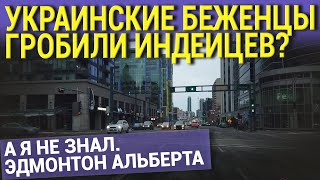 УКРАИНСКИЕ БЕЖЕНЦЫ ГРОБИЛИ ИНДЕЙЦЕВ? А Я НЕ ЗНАЛ. ЭДМОНТОН АЛЬБЕРТА