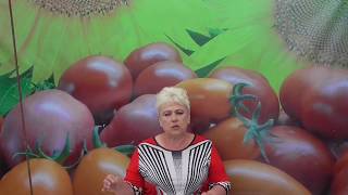 МОЕ МНЕНИЕ О ПОДКОРМКАХ. 