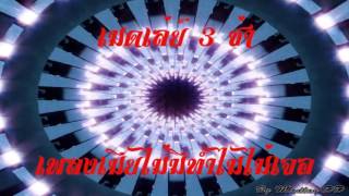 เพลงเมียไม่มีทำไมไม่เจอ-เมดเล่ย์