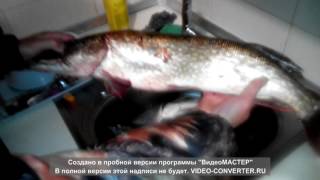 успешная рыбалка на щуку! эхолот fisherman 200 работает!