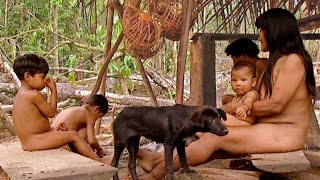The Female Sex: Women and Females (Part 1)  - Planet Doc