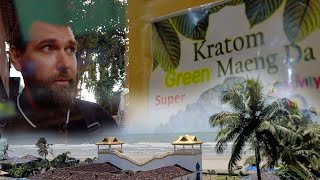 Легальные наркотики в Индии. Пробую Кратом. Дорогое жилье в Гоа.
