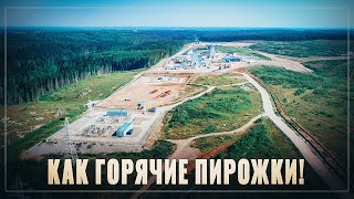 Как горячие пирожки! В России строится очередной гигантский завод