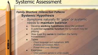 Case Conceptualization, Part 2, Mastering Competencies in Family Therapy