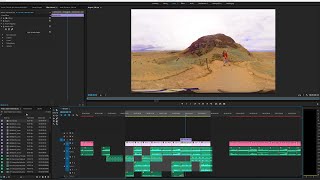 The Software You Should Use to Edit!!!