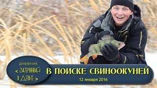 Астрахань. Зимняя рыбалка на Волге. Где ловить окуня видео