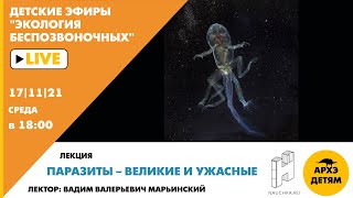 Детский эфир с Вадимом Марьинским "Паразиты – великие и ужасные" курса "Экология беспозвоночных"