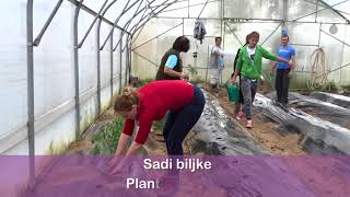 Plastenik u 4 minute sjajna edukacija za početnike Greenhouse in 4 minutes Great