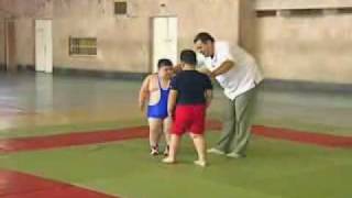 Giant toddlers meet for wrestling match (2)