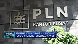 Menteri BUMN Resmikan Holding & Subholding PLN