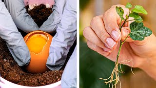 Amazing plant hacks to grow your own garden