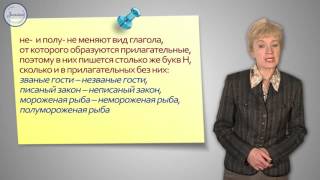Русский 10 Н и НН в словах разных частей речи