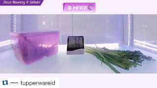 Контейнер для хранения овощей, фруктов, зелени от Tupperware "Умный холодильник"