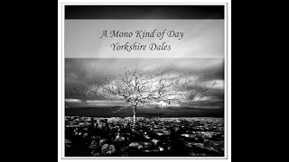 Landscape Photography | A Mono kind of Day, Yorkshire Dales