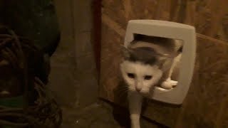 362. Забота и любовь к животным !
