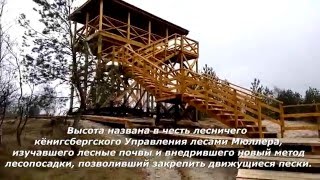 Куршская коса.  Высота Мюллера.  Озеро Чайка