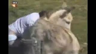 прикол мужик и осел