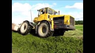 K-700 tallab silo / K-700 is trampling silage