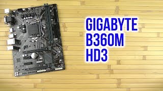 Распаковка Gigabyte B360M HD3