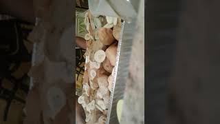Making a Capirotada (Mexican dessert)