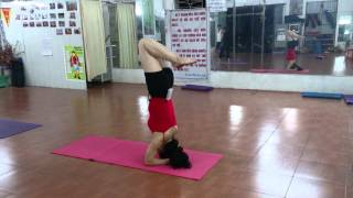 Yoga Thái Nguyên - Hồng Mai Yoga - Một số động tác YOGA nâng cao- phần 1