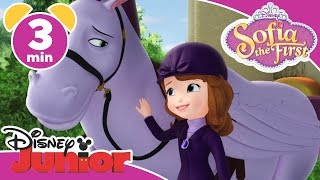Magical Moments | Sofia the First: Minimus The Flying Pony | Disney Junior UK