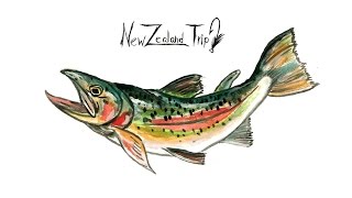 K FILMS NZ Trip