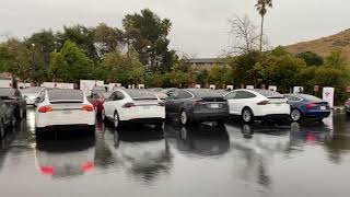 Tesla Energy Crisis Day 2