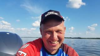 Судак по-ярославски