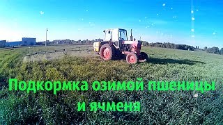 Подкормка озимой пшеницы и ячменя