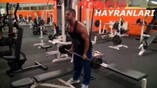 Fitnese yeni bașlayanlar ücün meș proqrami sine ve qolun qabagi (Biceps)