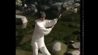 Ролибол (Introduction to Taichi bailong ball)