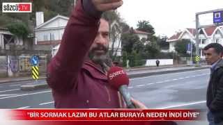 Sarıyer sahilini atlar bastı
