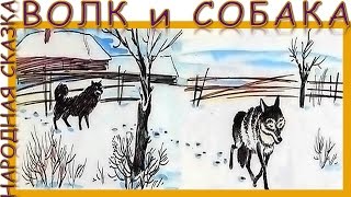 Волк и собака. Народная сказка. Аудиосказка. Слушать онлайн.