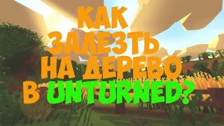 Как залезть на дерево без инвентаря в Unturned?