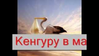 Санки-коляски Кенгуру в магазине АИСТ