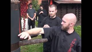 Вин Чун на Деревянный манекене: техника Третьей Руки