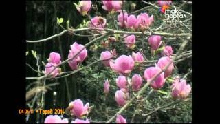 ГОРОД 2014 Сочи экскурсионный (ч.5)