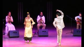Flamenco in Tomsk